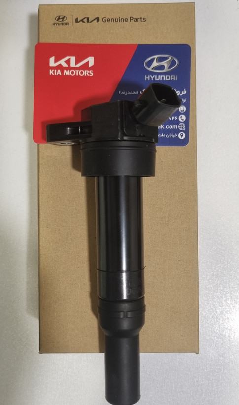 کوئل سر شمع آزرا 273013C000 وراکروز